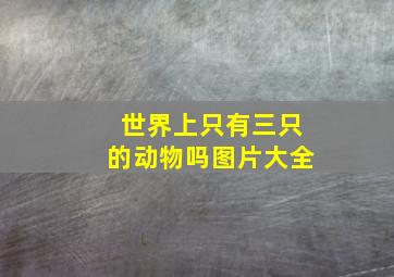 世界上只有三只的动物吗图片大全