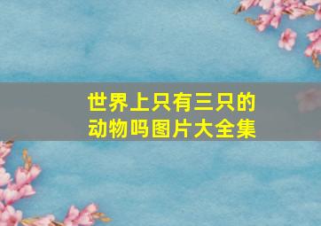 世界上只有三只的动物吗图片大全集