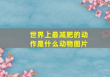 世界上最减肥的动作是什么动物图片