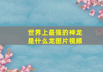 世界上最强的神龙是什么龙图片视频