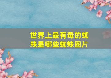 世界上最有毒的蜘蛛是哪些蜘蛛图片