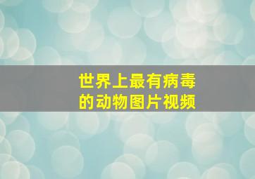 世界上最有病毒的动物图片视频