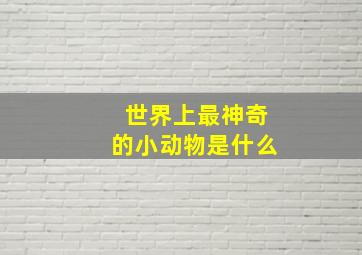 世界上最神奇的小动物是什么