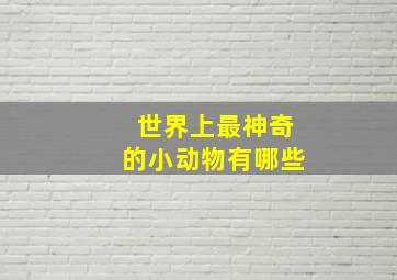 世界上最神奇的小动物有哪些