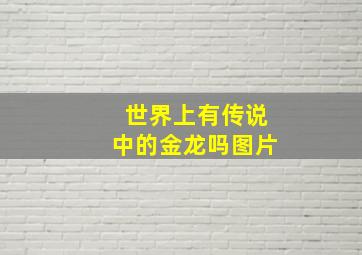 世界上有传说中的金龙吗图片