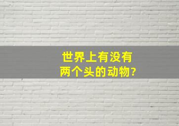 世界上有没有两个头的动物?