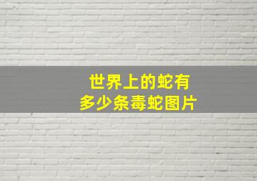 世界上的蛇有多少条毒蛇图片