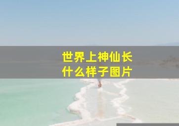 世界上神仙长什么样子图片