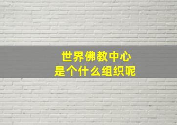 世界佛教中心是个什么组织呢