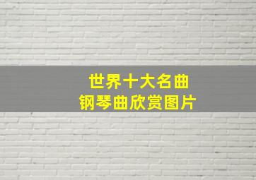 世界十大名曲钢琴曲欣赏图片