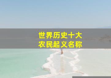 世界历史十大农民起义名称