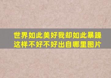 世界如此美好我却如此暴躁这样不好不好出自哪里图片