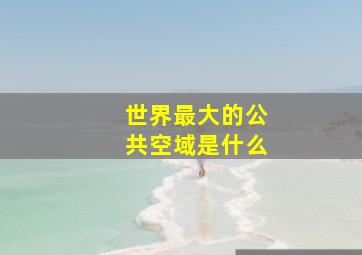 世界最大的公共空域是什么