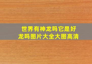 世界有神龙吗它是好龙吗图片大全大图高清