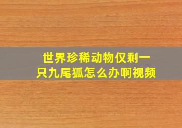 世界珍稀动物仅剩一只九尾狐怎么办啊视频