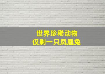 世界珍稀动物仅剩一只凤凰兔