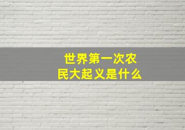 世界第一次农民大起义是什么