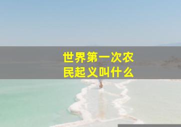 世界第一次农民起义叫什么