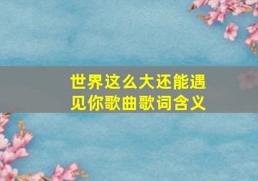 世界这么大还能遇见你歌曲歌词含义