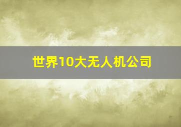 世界10大无人机公司