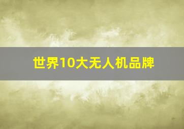 世界10大无人机品牌