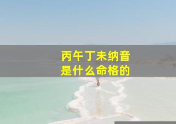 丙午丁未纳音是什么命格的