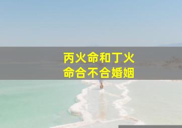 丙火命和丁火命合不合婚姻