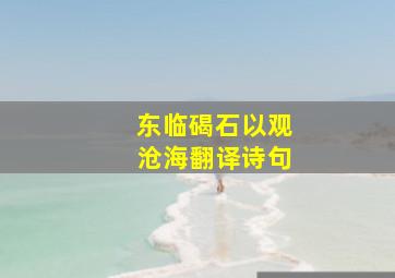 东临碣石以观沧海翻译诗句