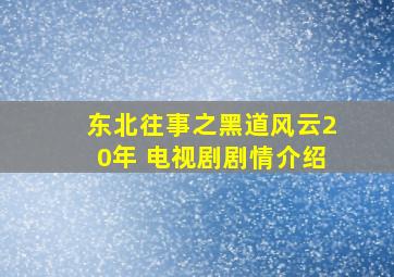 东北往事之黑道风云20年 电视剧剧情介绍