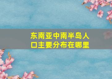 东南亚中南半岛人口主要分布在哪里