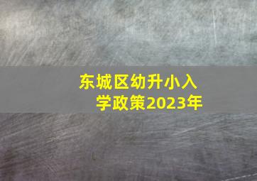 东城区幼升小入学政策2023年