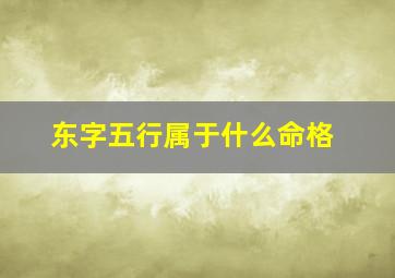 东字五行属于什么命格