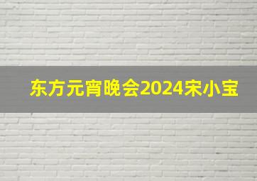 东方元宵晚会2024宋小宝