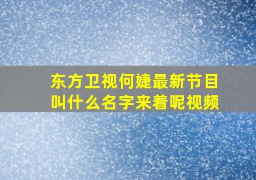 东方卫视何婕最新节目叫什么名字来着呢视频