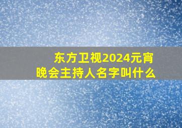 东方卫视2024元宵晚会主持人名字叫什么