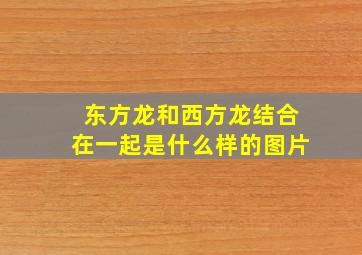 东方龙和西方龙结合在一起是什么样的图片