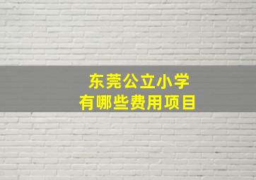 东莞公立小学有哪些费用项目