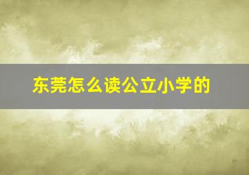 东莞怎么读公立小学的