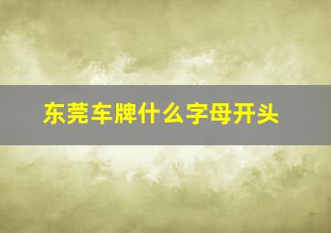 东莞车牌什么字母开头