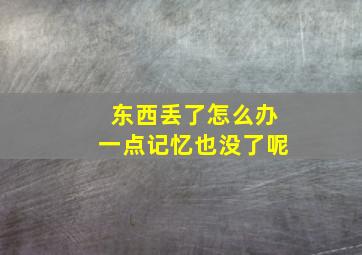 东西丢了怎么办一点记忆也没了呢