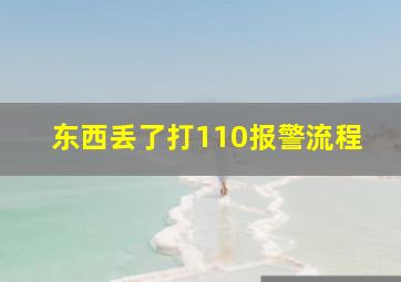 东西丢了打110报警流程