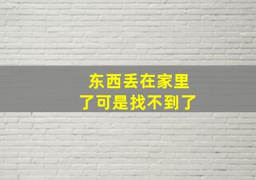 东西丢在家里了可是找不到了