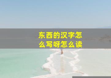 东西的汉字怎么写呀怎么读