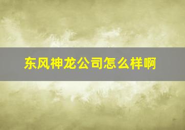 东风神龙公司怎么样啊