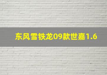 东风雪铁龙09款世嘉1.6