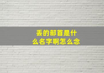 丢的部首是什么名字啊怎么念