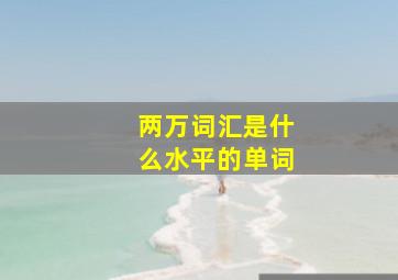 两万词汇是什么水平的单词