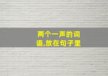 两个一声的词语,放在句子里