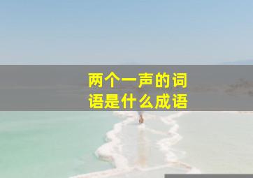 两个一声的词语是什么成语