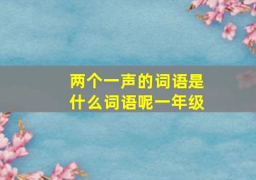 两个一声的词语是什么词语呢一年级